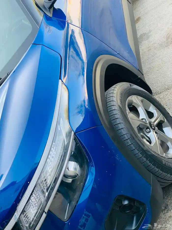 الرياض 13