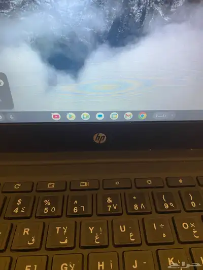 كم السر زر الإكس الحساب شمختني نظيف index