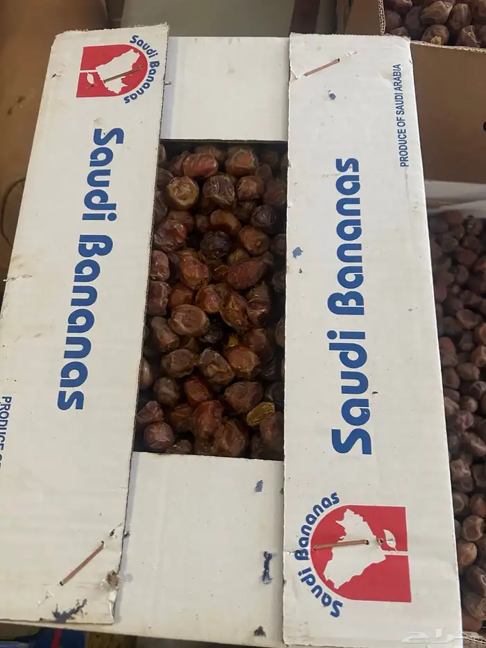 تمور منوعه للبيع 1