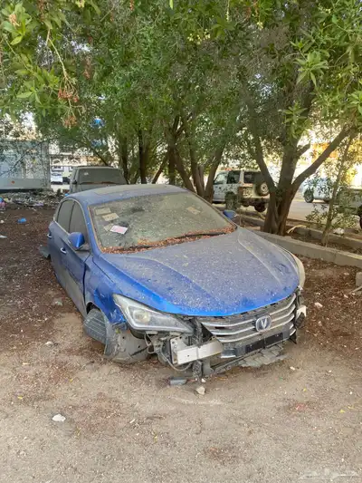 شانجان ايدو 2020 index