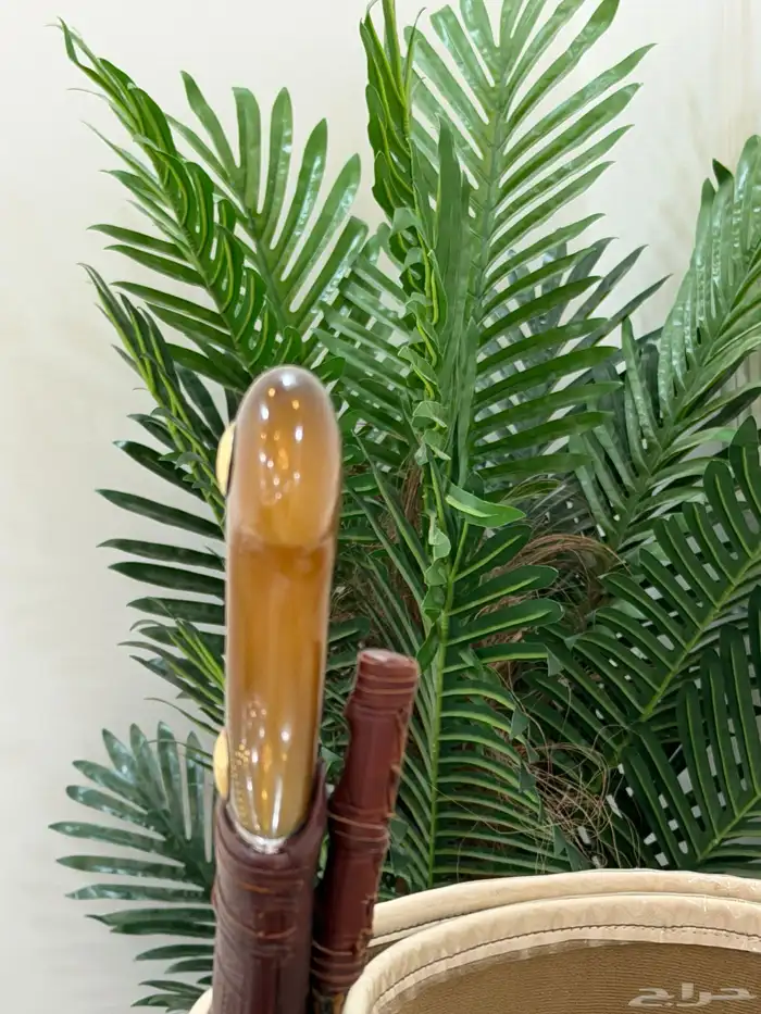 جنبيه 2
