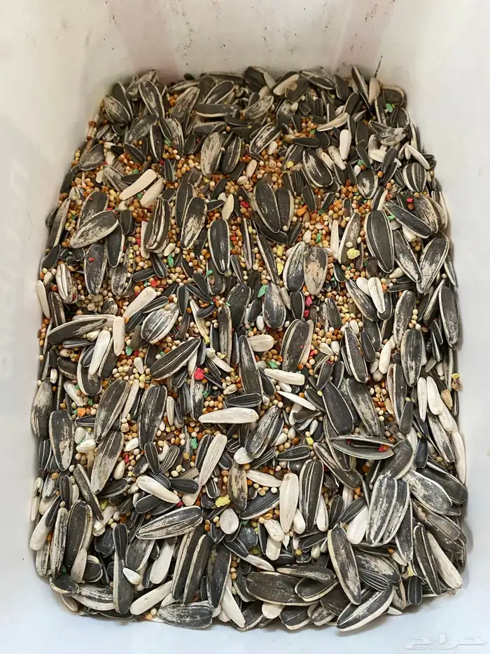 مستلزمات والعاب واكل طيور 9