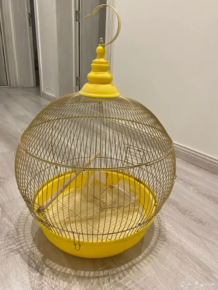 قفص عصافير 0