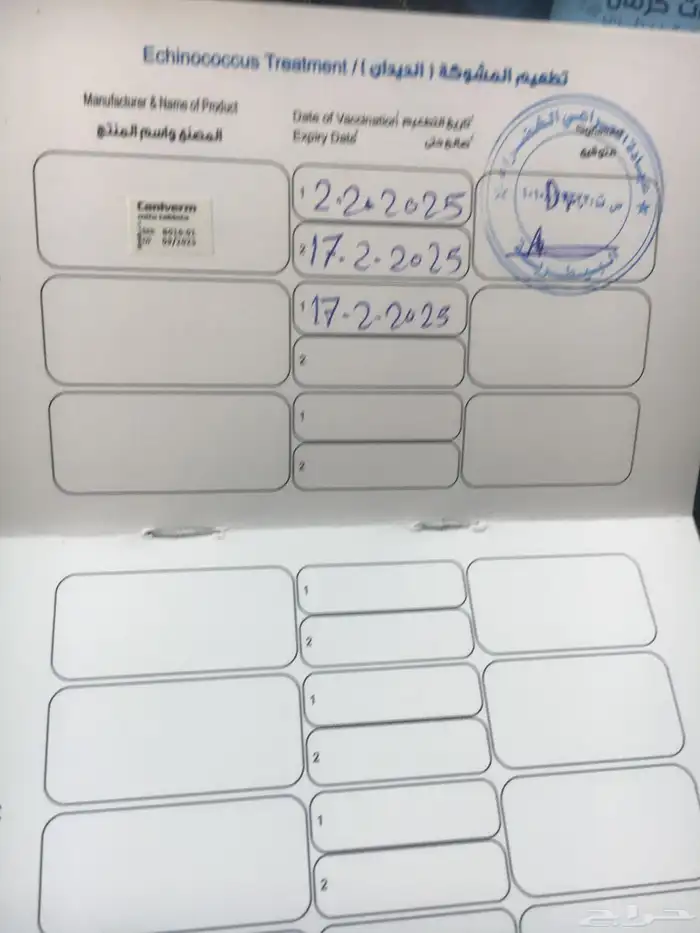 عدد (2) كلاب حراوه هاسكي ذكور العمر أسبوعين للبيع 5