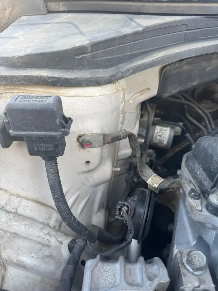 النترا 2018 7