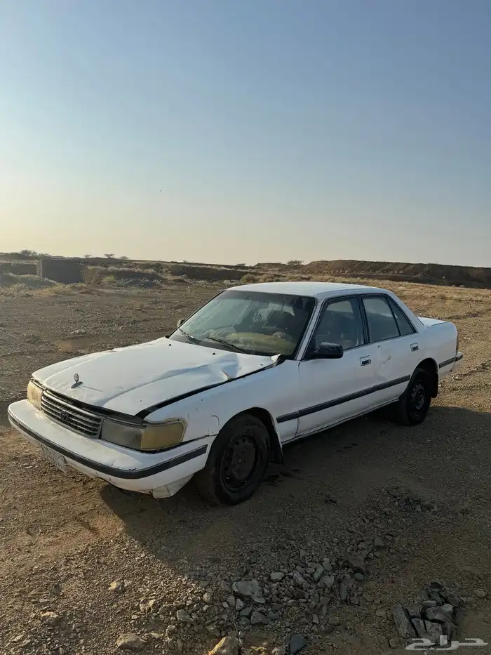 كرسيدا 5