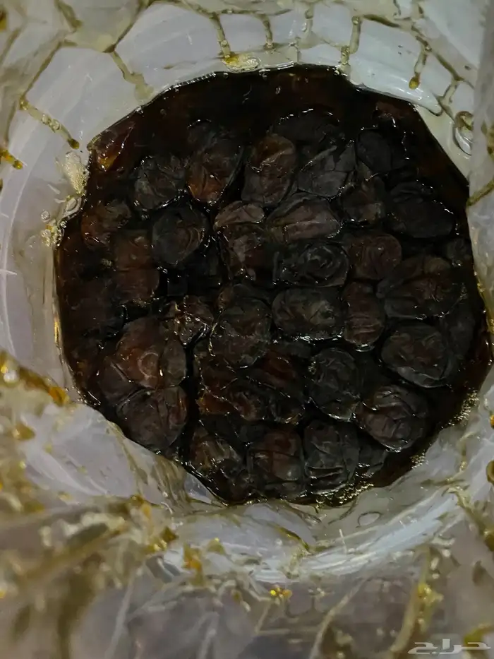 تمر حلوة 4
