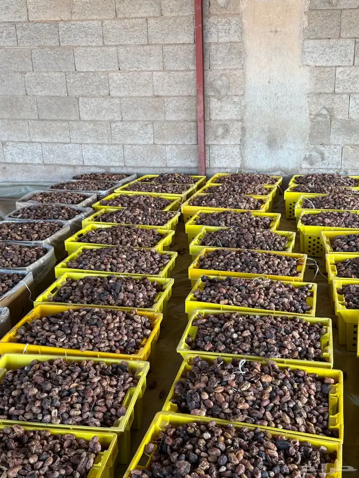 بيع تمر ناشف علف مواشي 2