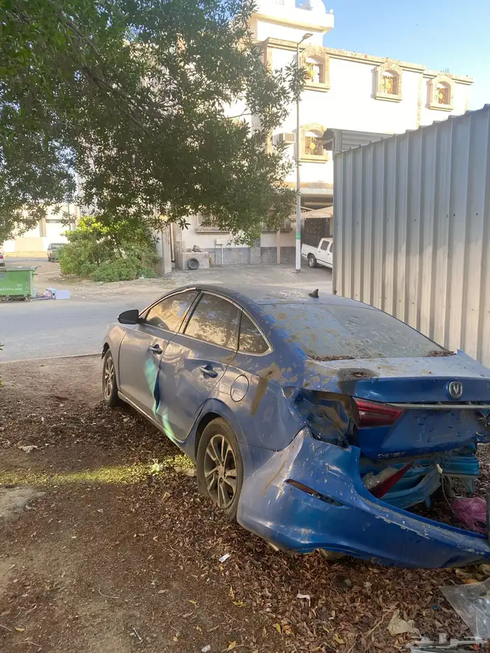 شانجان ايدو 2020 0
