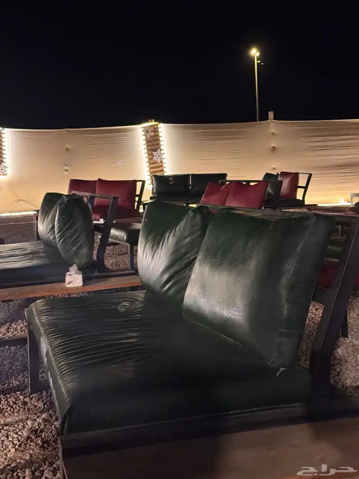 للبيع كنبات خارجية.. جلد اخضر و احمر 0