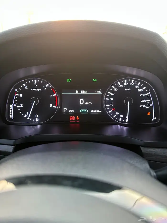 كادينزا 2020 بطاقة جمركيه 19