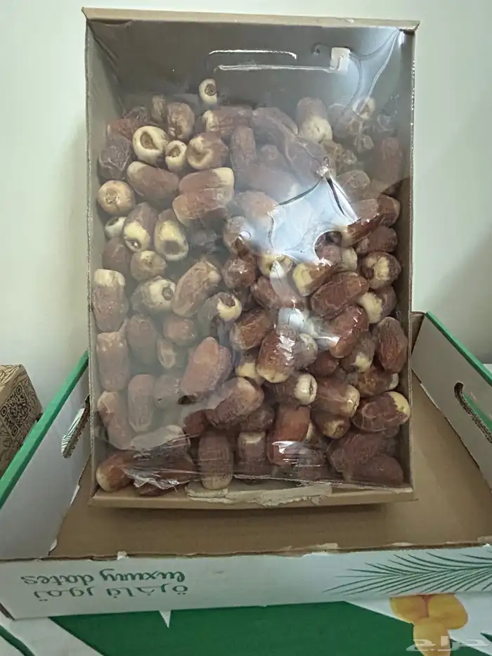 تمور صقعي فاخر ملكي 11