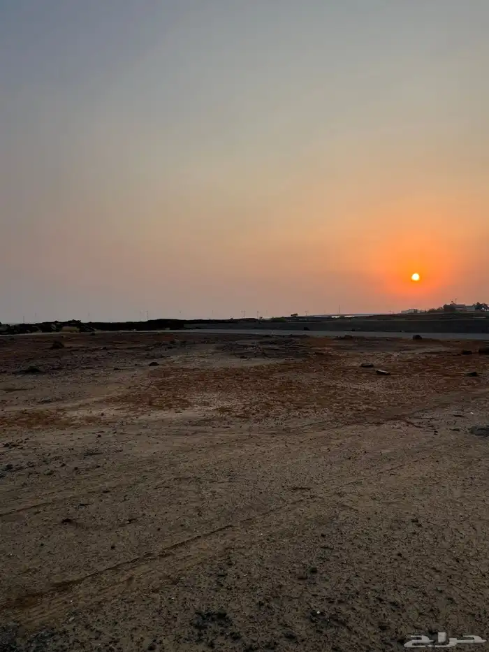 ارضين متجاورتين للبيع في الحريضه 7