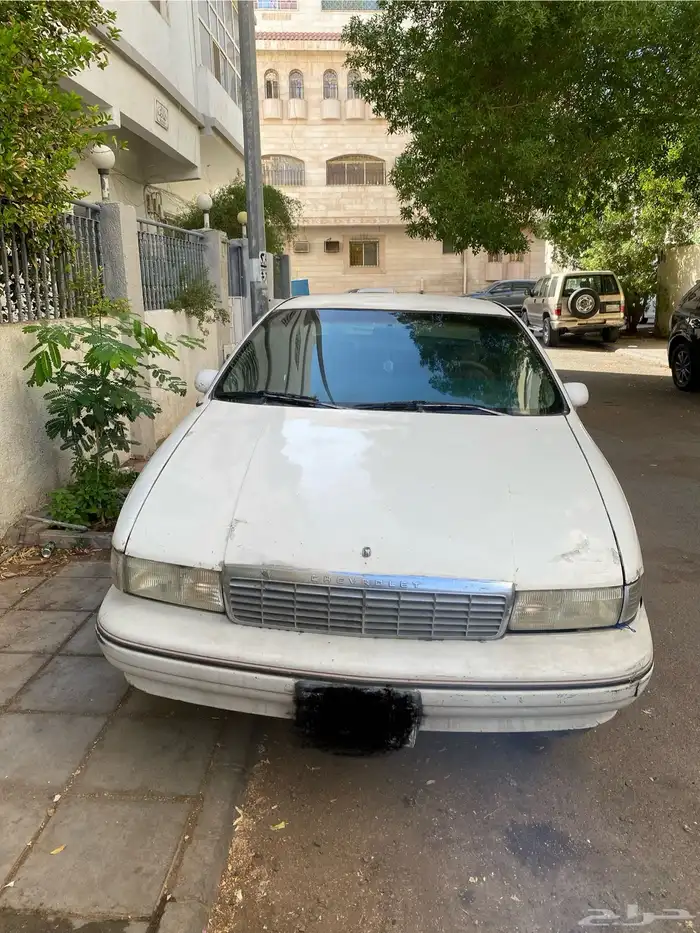 كابرس 91 LS 2