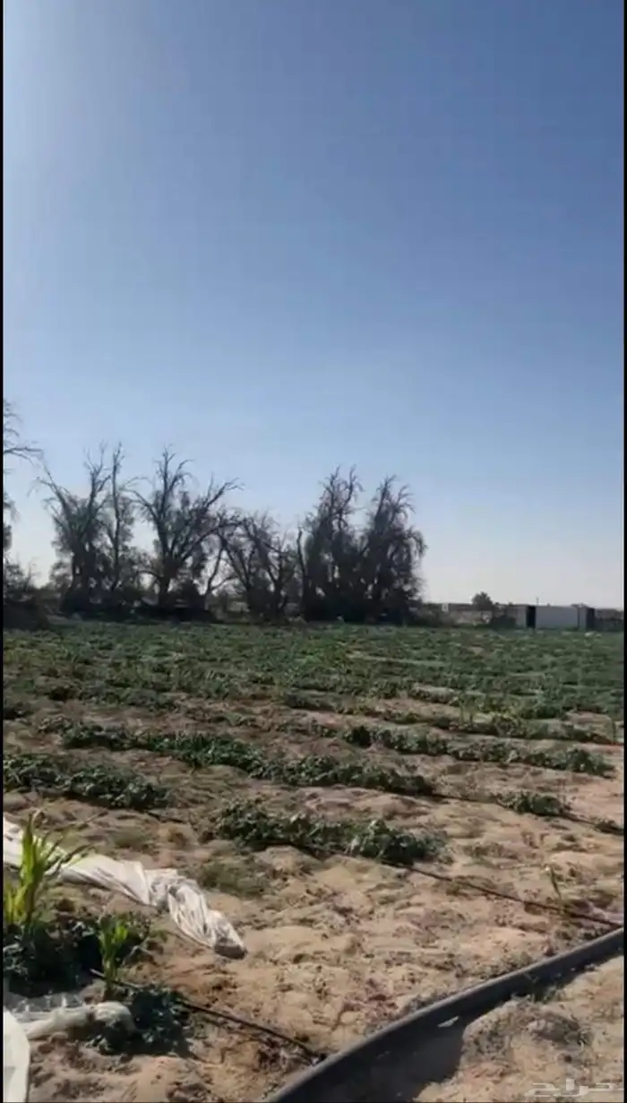 للبيع مزرعه في قريه العليا صك الكتروني فراغ فوري 1