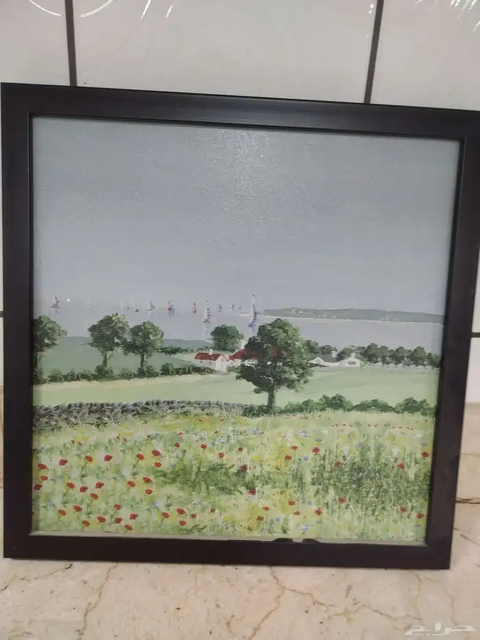 لوحات حائط رفوف قطاعة خضار آلة الفطائر رسيفرات 0