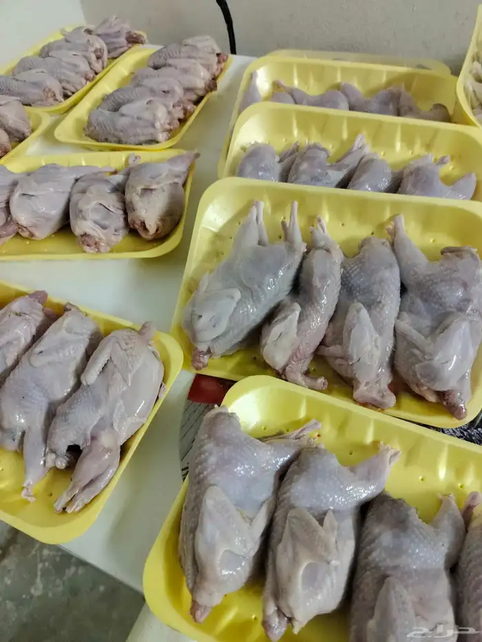 سمان بلدي لحم وشحن متوفر الحمد لله طازج ومتوفر كل يوم وبكميا 1