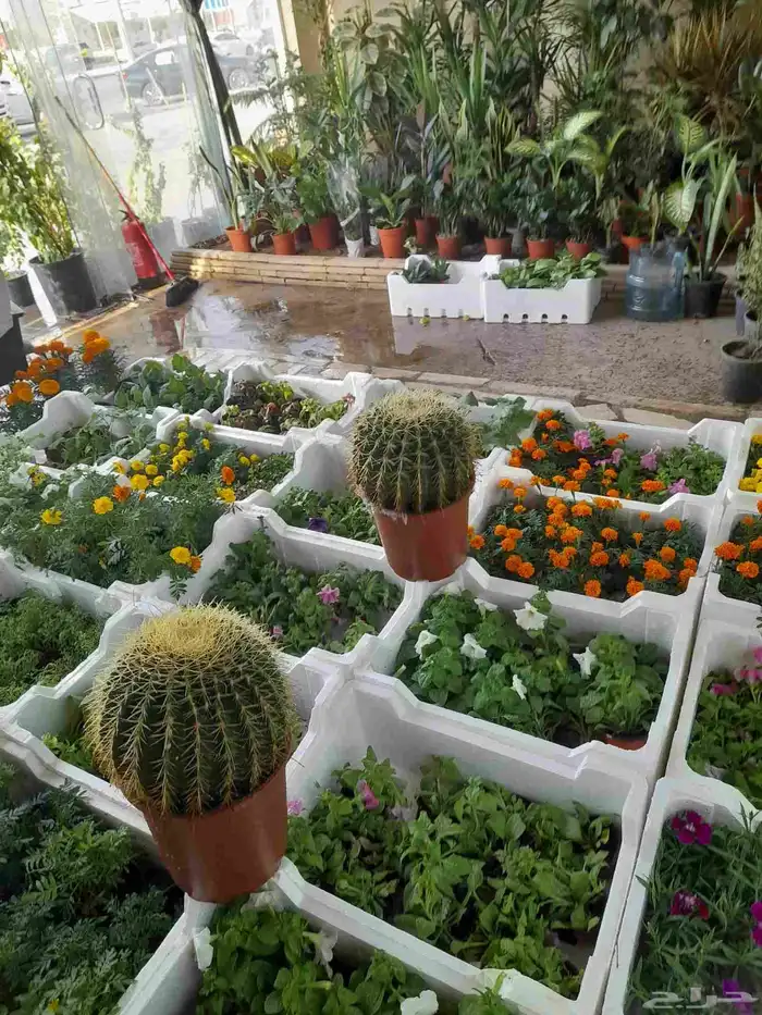 منسق حديق وتركيب جميع شبكات الري العادي والاتمتك 9