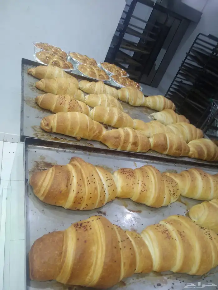 ابحث عن مخبز داخل او خارج بقاله للايجار في مكه او جده 1