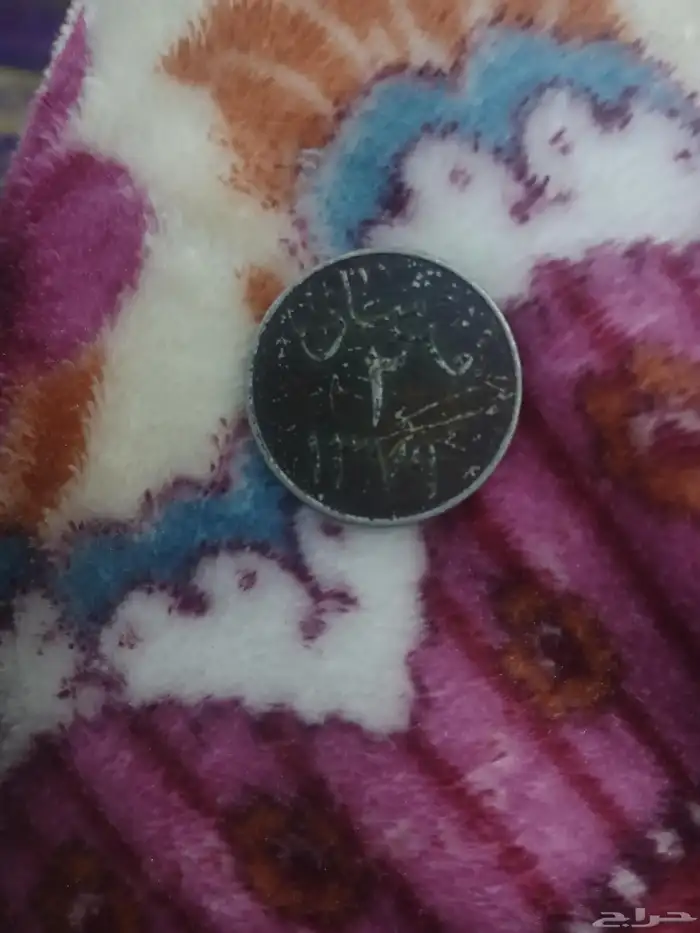 قرشان قديم 0