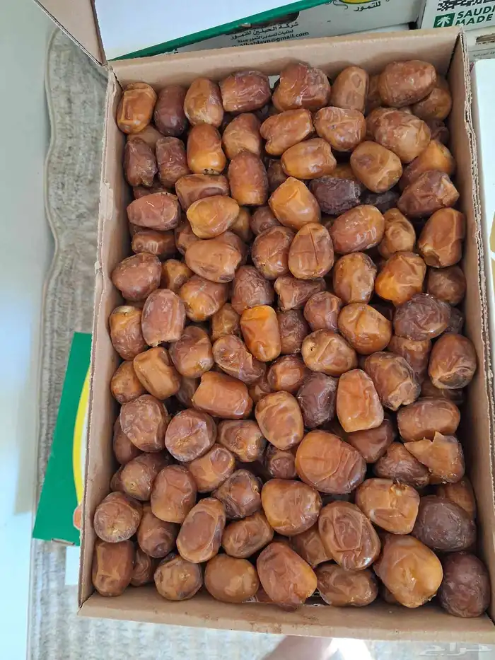 تمور القصيم رطب ماشاء الله حاجه كده تبارك الله فاخر من الاخر 4