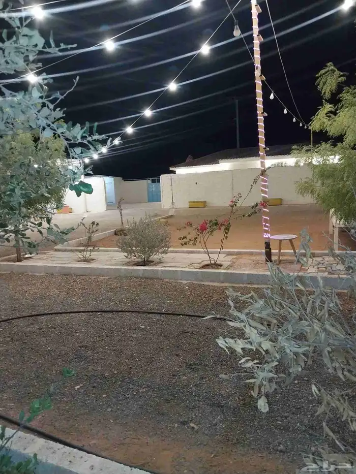 استراحه للايجار 10