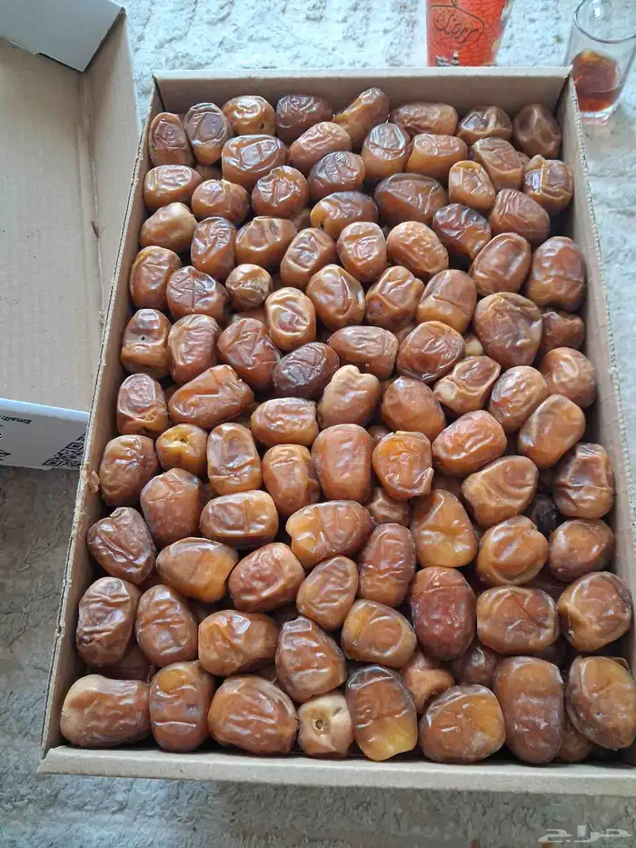 تمور القصيم رطب ماشاء الله حاجه كده تبارك الله فاخر من الاخر 2