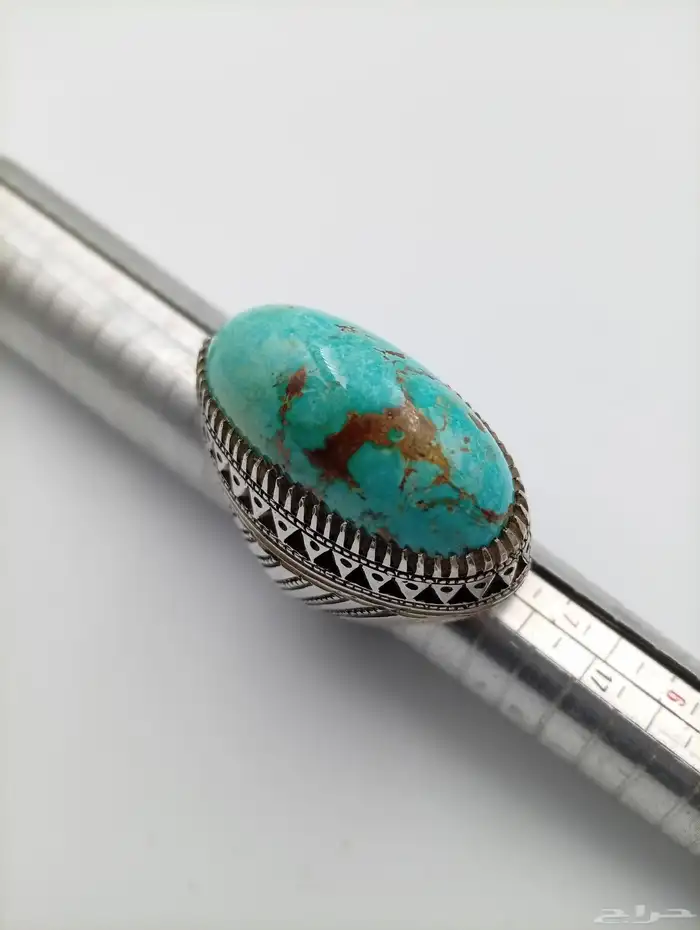 فيروز نيشابوري 4