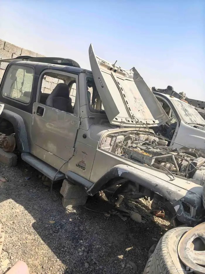 رانجلر ايلمتد 2007 9