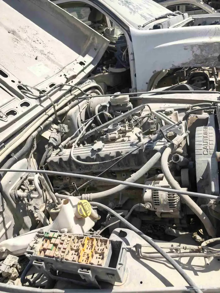 رانجلر ايلمتد 2007 8