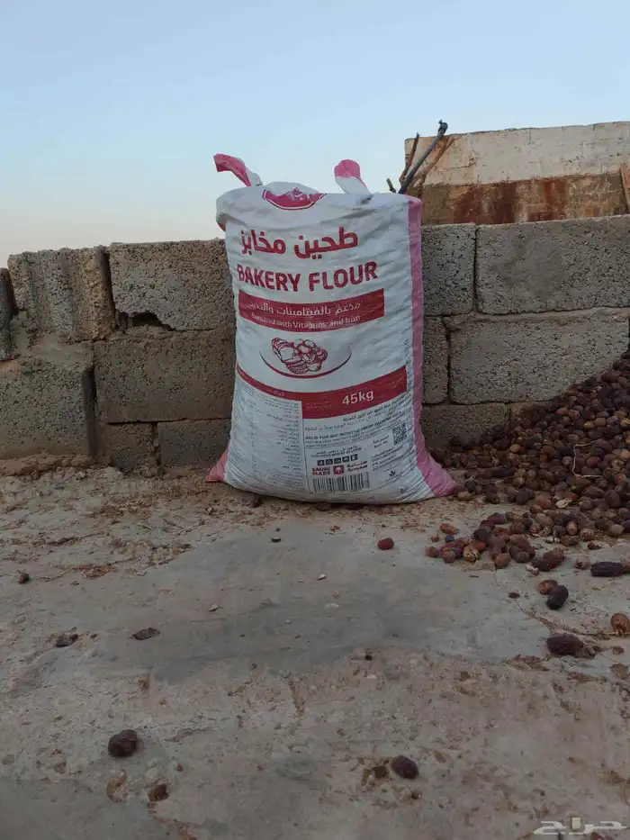 تمر ناشف. للبيع 7