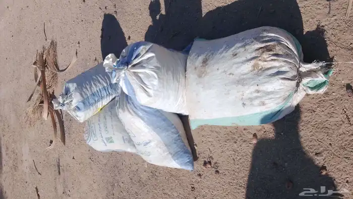 تمر نفيع للغنم السعر 25 0