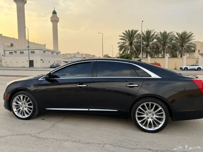 كدلك للبيع 2