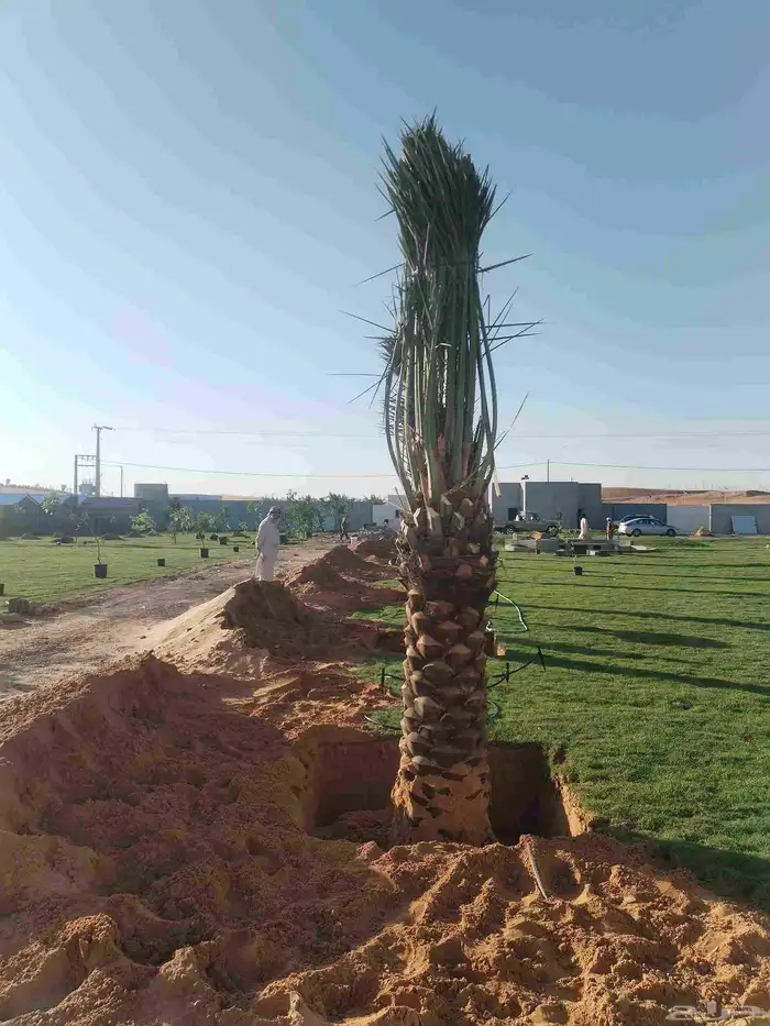 المزاحميه 2