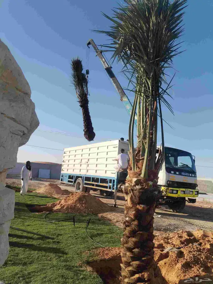 المزاحميه 0