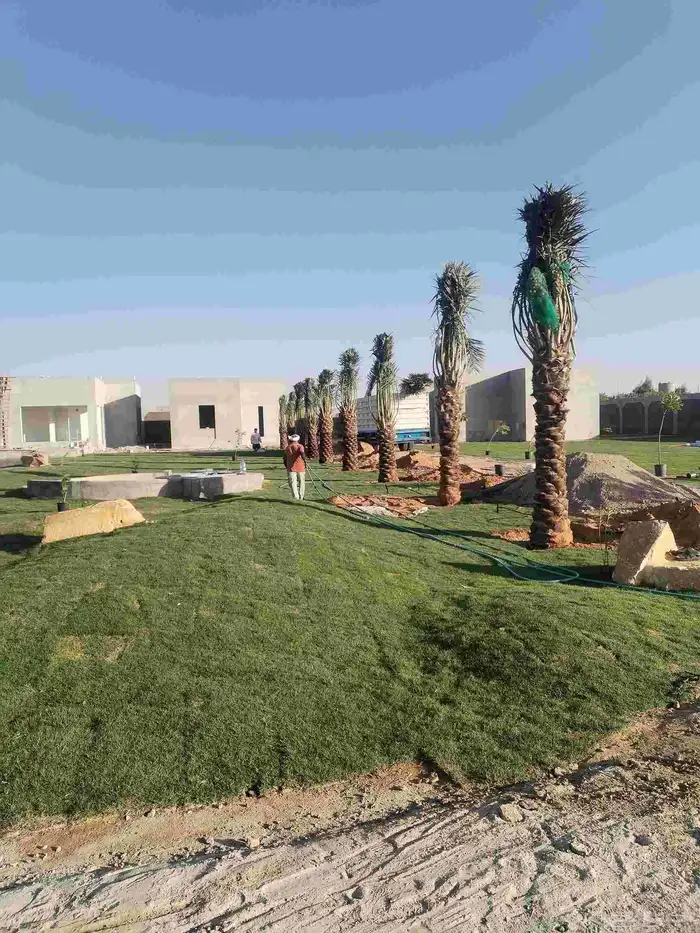 المزاحميه 3