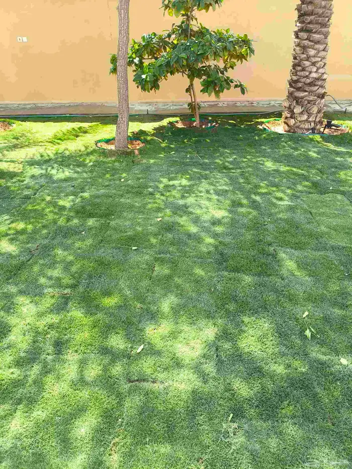 تنسيق حدائق 5