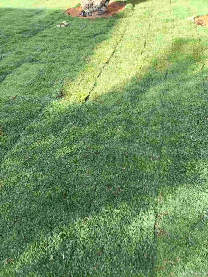 تنسيق حدائق 7