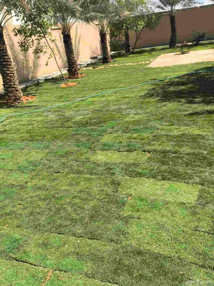 تنسيق حدائق 3