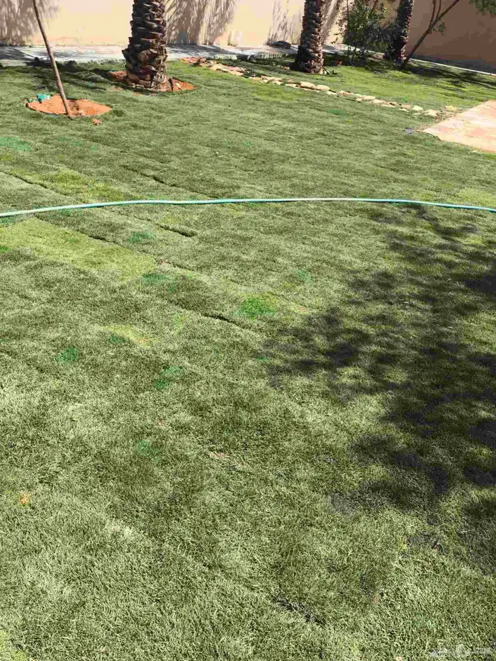 تنسيق حدائق 6