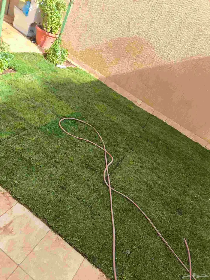 تنسيق حدائق 0