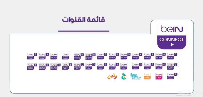 اشتراك بي إن كونكت رسمي 1
