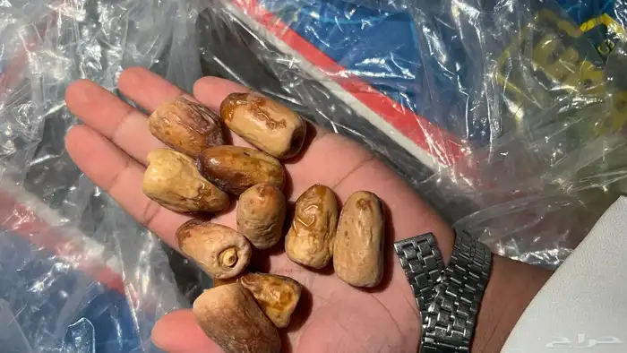 جميع انواع تمر نجران. 11