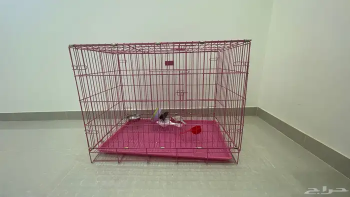 وشبك كبير جديد لم تستخدم 1