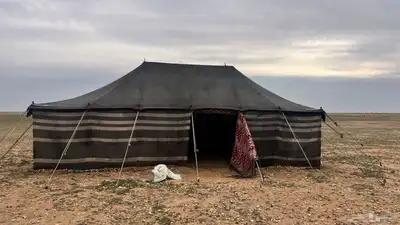 بيت شعر للبيع 0