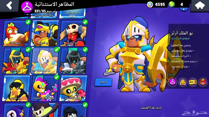 حساب براول للبيع 8
