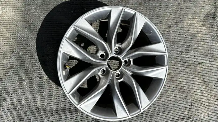 جنوط افيلون2019 وكاله 1