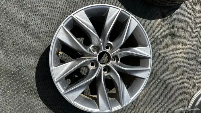 جنوط افيلون2019 وكاله 3