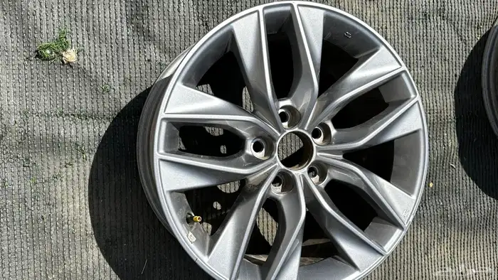 جنوط افيلون2019 وكاله 2