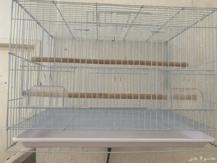 مستلزمات والعاب واكل طيور 0